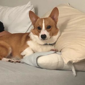 Meet your Posher, Tanya